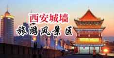 靠逼视频操哭粉嫩小穴91中国陕西-西安城墙旅游风景区
